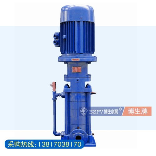 武汉南方多级离心泵上海博生DL型不锈钢多级离心泵