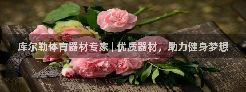 江苏星奥娱乐