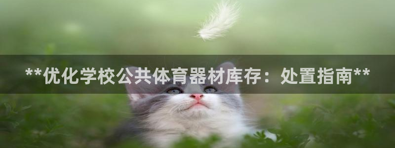 星欧娱乐的创始人背景故事是什么