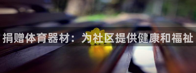 星欧娱乐巴711.112扣费记录查询方法：捐赠体育器