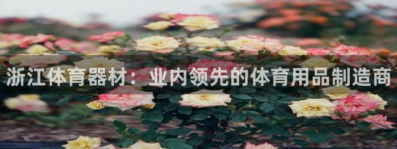 星欧娱乐最建议买的三个产品是什么呢：浙江体育器材：业