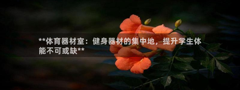 星奥娱乐怎么样：**体育器材室：健身器材的集中地，提