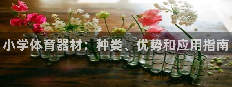 星欧娱乐公司电话号码查询