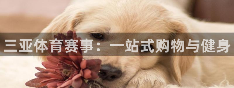 星欧娱乐属于什么档次的软件啊