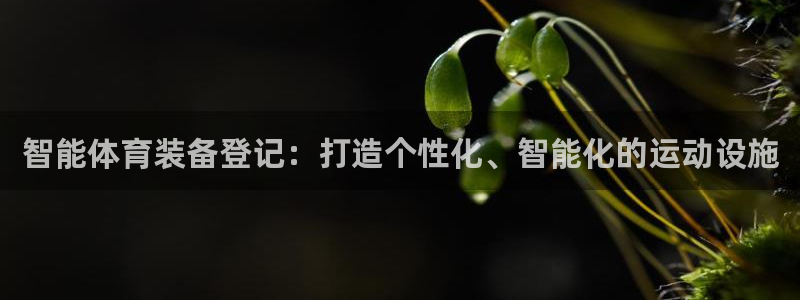 星欧娱乐工711.112怎么没有了