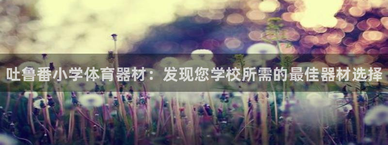 星奥娱乐集团怎么样：吐鲁番小学体育器材：发现您学校所需的最佳