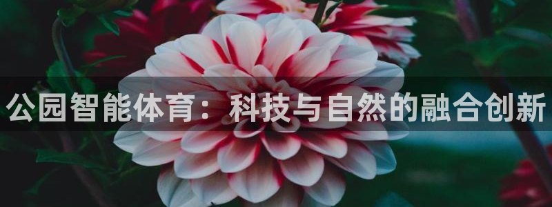 星欧娱乐平台过7O777
