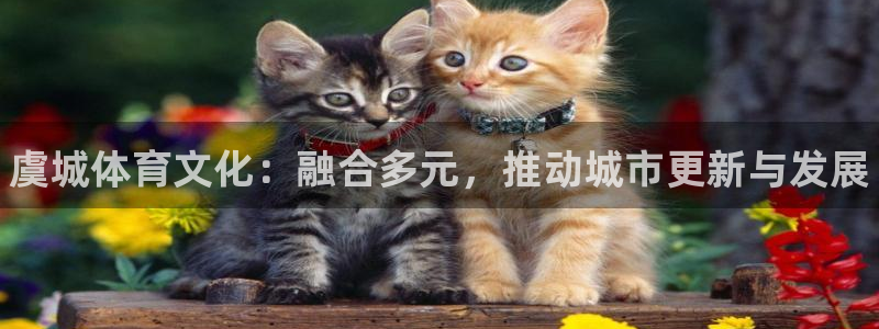 星欧娱乐官方客服联系方式是什么