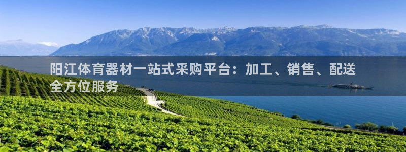 星奥娱乐集团股份有限公司怎么样：阳江体育器材一站式采购平台：