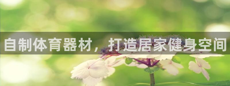 星欧娱乐挂机赚钱软件：自制体育器材，打造居家健身空间 
