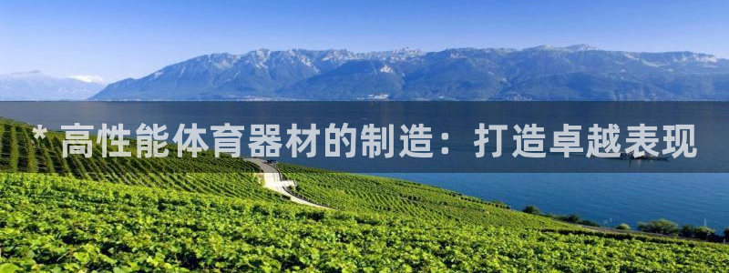 星欧娱乐扣款流程详解视频：* 高性能体育器材的制造：