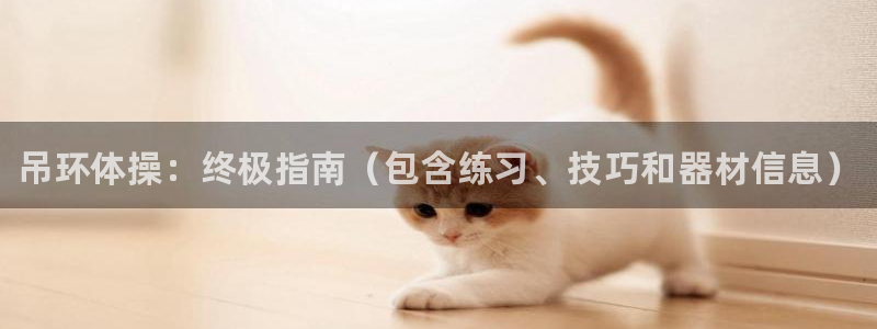 星欧娱乐属于什么档次的软件啊：吊环体操：终极指南（包