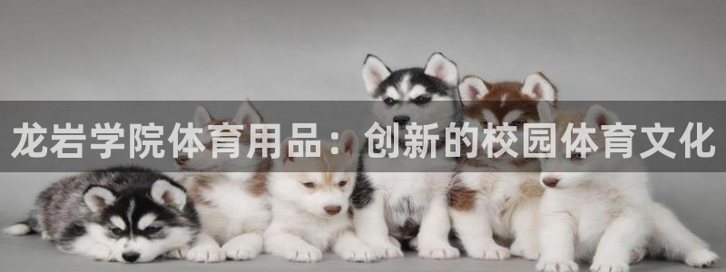 星欧娱乐平台量7O777：龙岩学院体育用品：创新的校园体育文