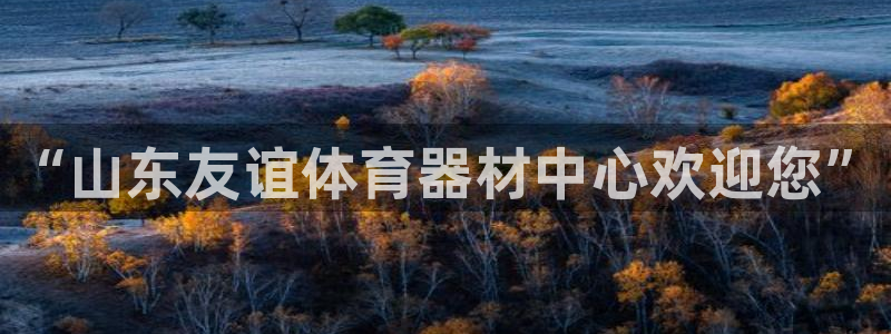 星欧娱乐工711.11是正规的吗：“山东友谊体育器材中心欢迎