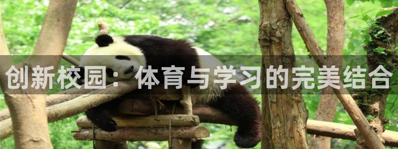 星欧娱乐是正规平台吗安全吗是真的吗：创新校园：体育与学习的完