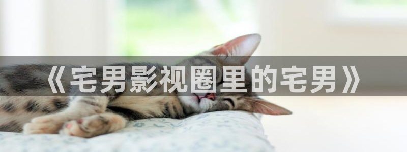 真不卡影视下载
