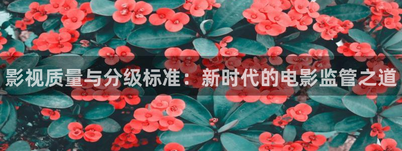 狂飙电视剧全集免费播放真不卡影院