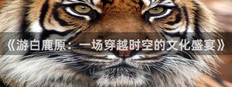 真不卡影视