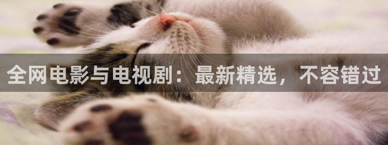 真不卡影视app下载