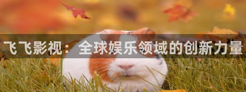 真不卡影院最新