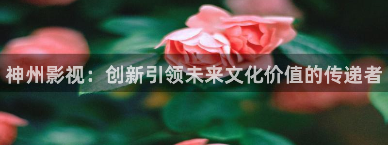 真不卡影视网