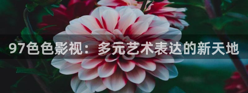 真不卡影视网