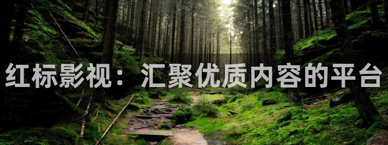 真不卡影院电视剧